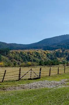 Mountain landscape with differently trees in venerable autumnal forest Stock Photos