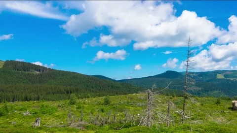 Mountain Landscape with a Dry Tree and Clouds Stock Footage 78920844