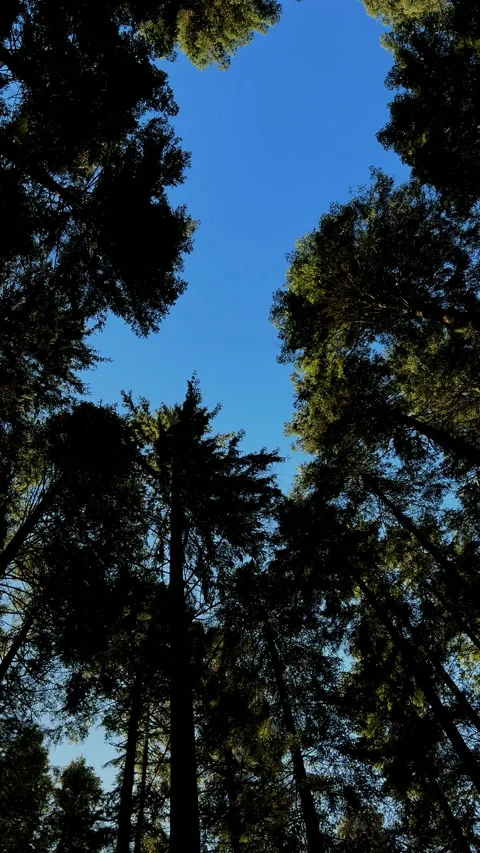 Mountain landscape during winter Stock Footage 307673404