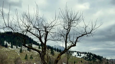 Mountain landscape during winter 動画素材 307673477