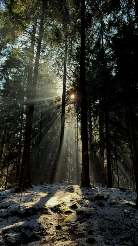 Mountain landscape during winter Stock Footage 307673581