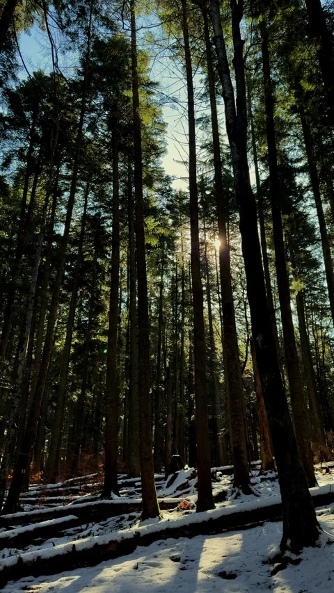 Mountain landscape during winter Stock Footage 307673590