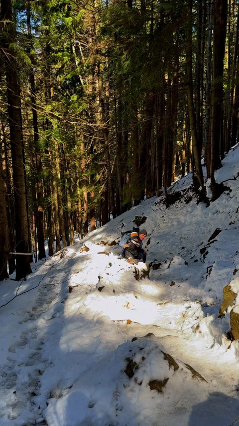 Mountain landscape during winter Stock Footage 307673614