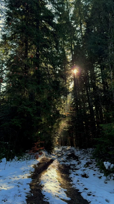 Mountain landscape during winter Stock-Footage 307673669