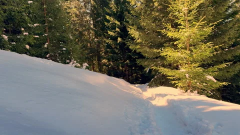 Mountain landscape during winter Stock-Footage 307673849
