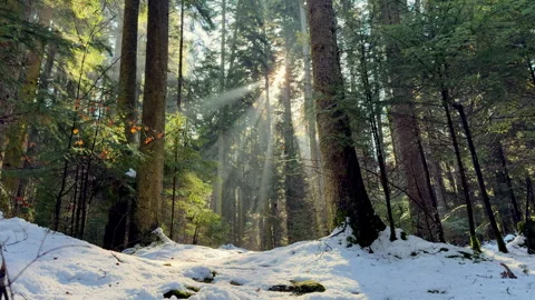 Mountain landscape during winter Stock Footage 307673967