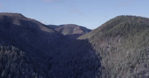 Mountain landscape during winter. Trees.  Stock Footage 147640326