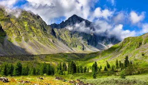 Mountain landscape at edge of forest Foto stock