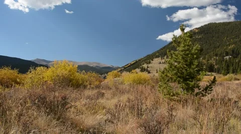 Mountain Landscape in Fall on a Breezy Day Stock Footage 55185667