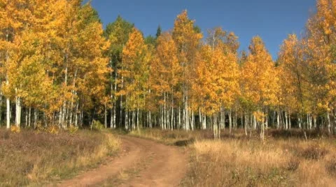 Mountain Landscape in Fall Vídeos de archivo 12570713