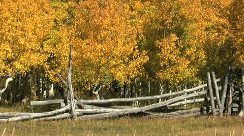 Mountain Landscape in Fall 库存影片 12570765