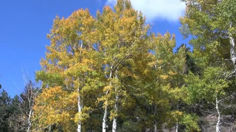 Mountain Landscape in Fall Stock-Footage 12574942