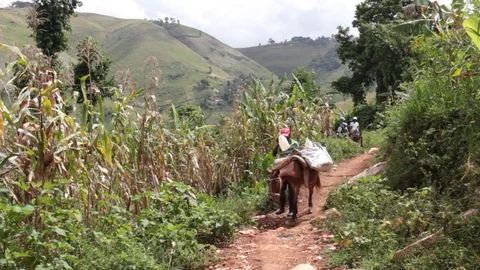 Mountain Landscape with Farmer &amp; Donkey Stock Footage 83836709