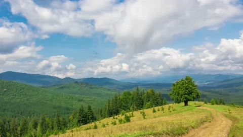 Mountain Landscape with a Fast Clouds and Shadows Stock Footage 116890477
