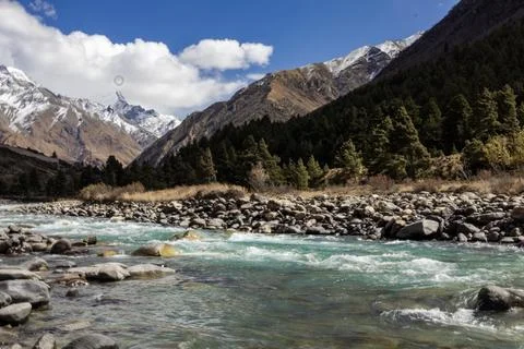 Mountain landscape featuring a clear river flowing through rocky terrain wi.. Stock Photos
