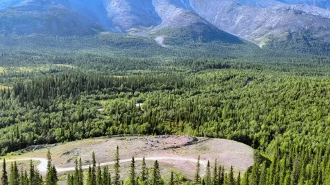 Mountain landscape with fir forest. Forest background. Stock-Footage 292639233