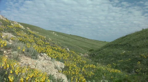 Mountain landscape Video stock 733042