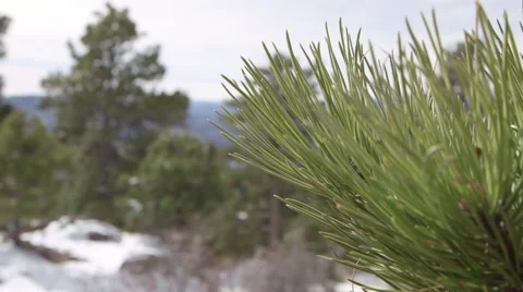 Mountain Landscape Stock Footage 51510236