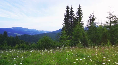 Mountain Landscape Stock Footage 53928433