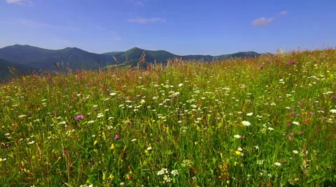 Mountain Landscape Stockbeeldmateriaal 56942296