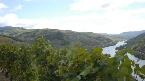 Mountain landscape Stock Footage 80248251