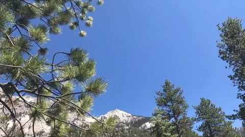 Mountain Landscape 動画素材 91840906