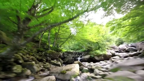 Mountain Landscape Stock Footage 218147217