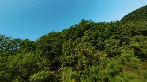 Mountain Landscape Stock Footage 218180576