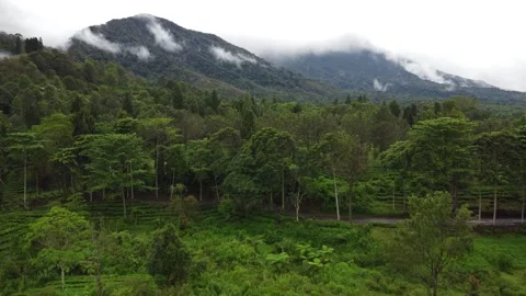 Mountain Landscape Stock Footage 268647190