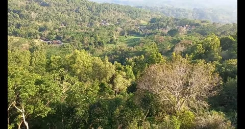 Mountain landscape Stock Footage 288414179