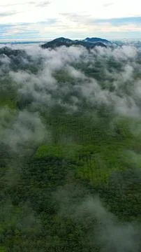 Mountain landscape with forest and clouds in the sky 스톡 사진