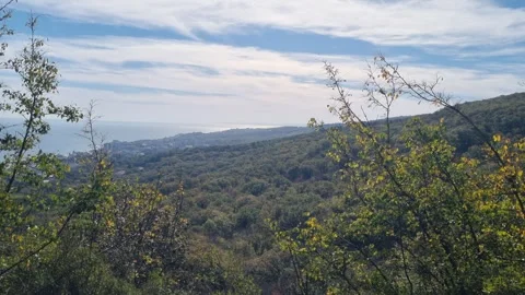 Mountain landscape with forest and cloudy sky in autumn season Stock Footage 321180905