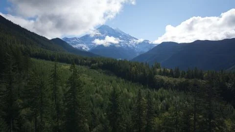 Mountain landscape with forest and cloudy sky with Mt. Rainier in background Stock Photos