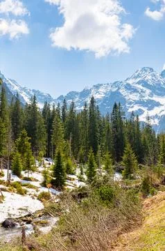 Mountain landscape with forest and distant peaks Stock Photos