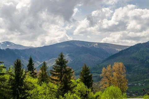 Mountain Landscape with Forest and Dramatic Clouds Foto stock