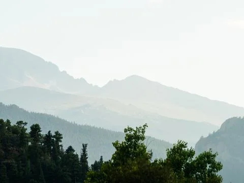Mountain landscape with forest in the foreground. Stock Photos