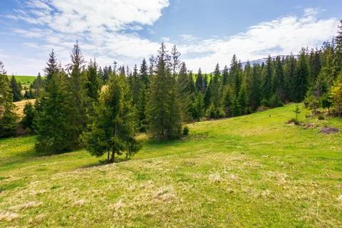 Mountain landscape with forest in spring Stock Photos