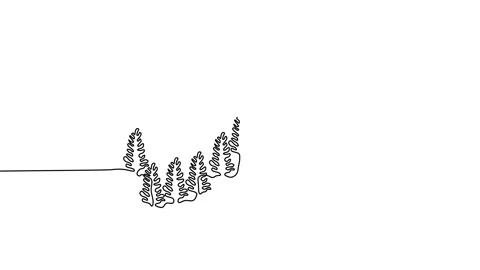 Mountain landscape, Forest theme. drawn in one line Stock Footage 227528199