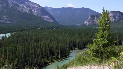 Mountain landscape - forest in valley and Bow river. Video stock 194895993