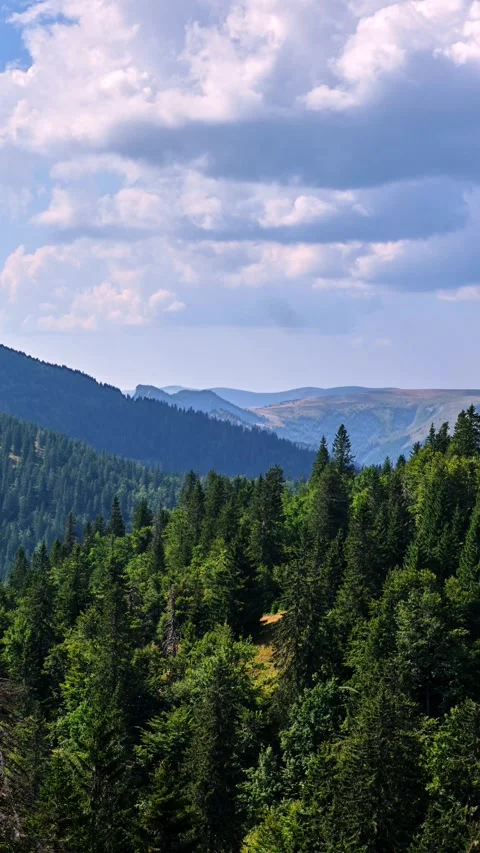Mountain landscape with forests and high hills in Carpathian landscape, Clouds Stock Footage 285624385