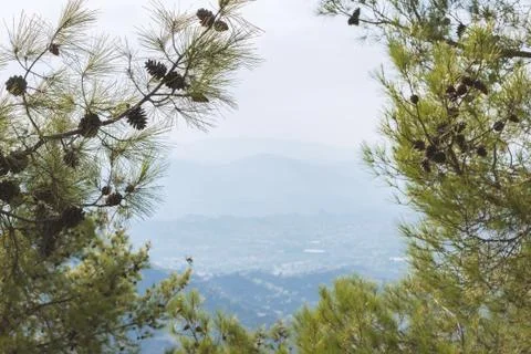 Mountain landscape framed by pine branches with cones Stock Photos