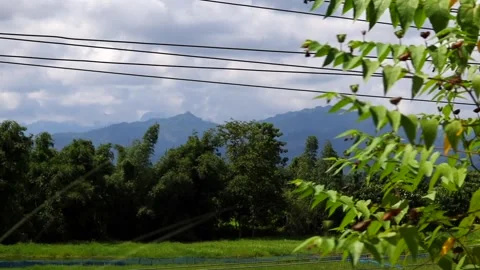 Mountain Landscape with Green Fields, Trees and Cloudy Sky Video stock 346238068