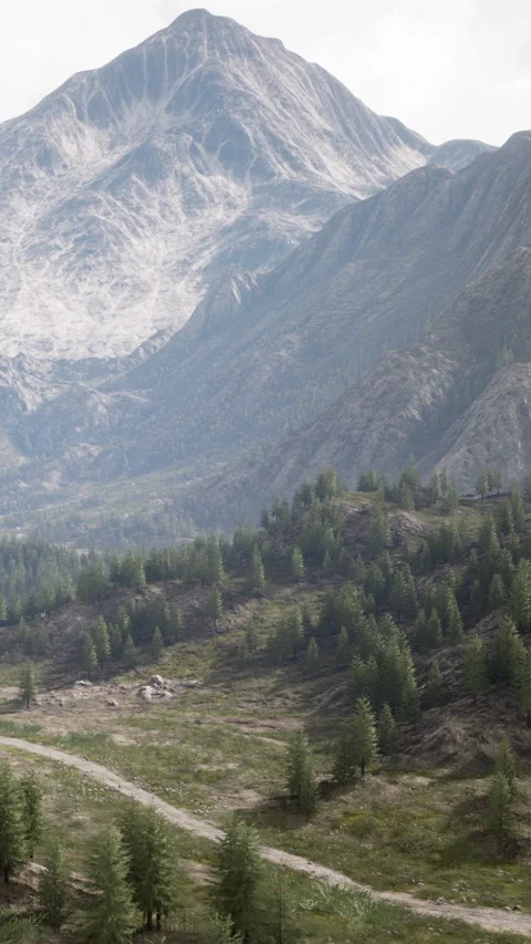 Mountain landscape with green trees and rocky terrain under cloudy sky Video stock 335692334