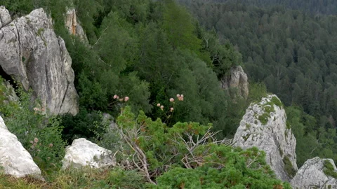 Mountain landscape with green valleys. Mountain Pass.  Stock Footage 170373272