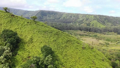 Mountain Landscape in Hawaii Video stock 105375053