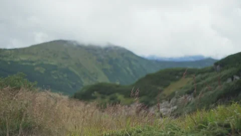Mountain landscape in the highlands in summer, in cloudy weather Stock Footage 229782707