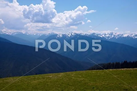 Mountain landscape; hurricane ridge, olympic national park, washington, usa Stock Photos