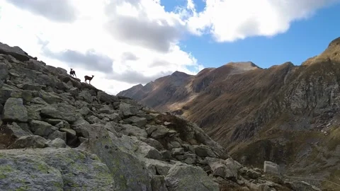 Mountain landscape with ibexes on the ridge Stock Footage 219863304