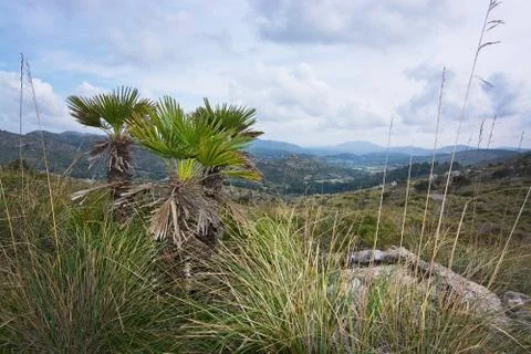 Mountain landscape Mallorca Foto stock