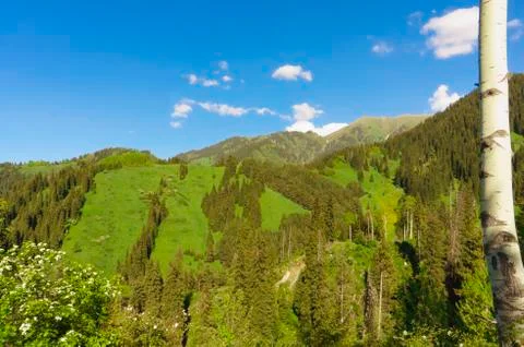 Mountain landscape, mountain landscape in the summer. Stock Photos